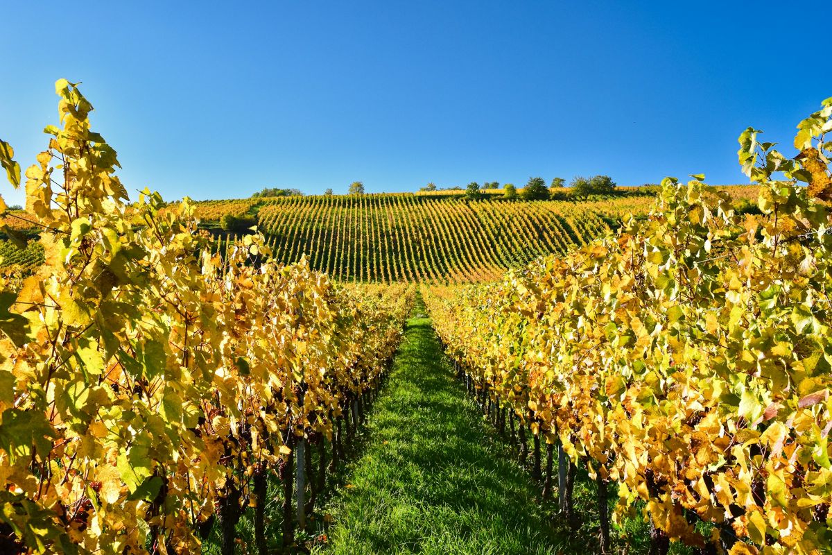 Best Places to Visit in France in autumn