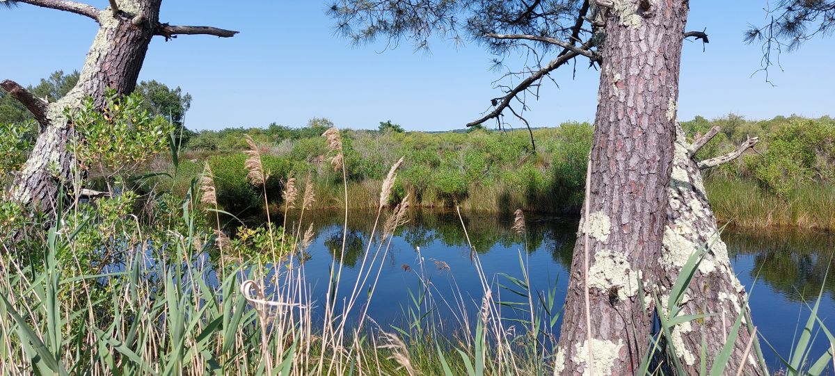 My guide to the most beautiful sights of Arcachon Bay